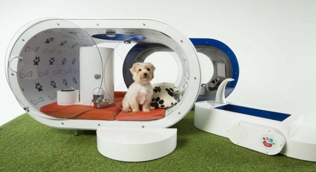Samsung Dream Doghouse : Une niche pour chien digne d’un hotel 5 étoiles