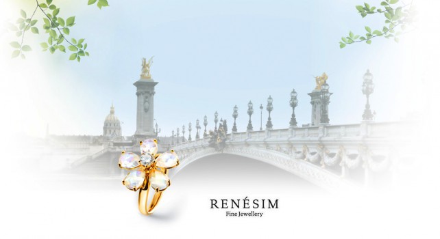 RENÉSIM : Quand tradition et modernité s&rsquo;unissent